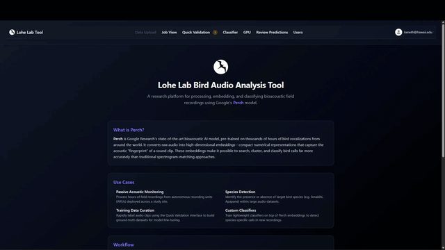 Lohe Lab bird audio analysis tool